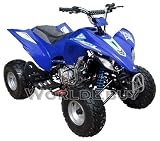 ATV 250cc