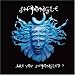 音楽: ARE YOU SHPONGLED?