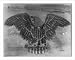 Historic Print (L): The Human American eagle; 12,500 officers, nurses and men; Camp G...