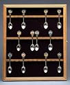 Oak Wood Wall Mount 24 Collectible Spoon Cabinet Case Glass Door