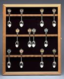 Oak Wood Wall Mount 24 Collectible Spoon Cabinet Case Glass Door
