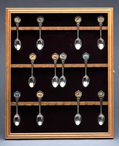 Oak Wood Wall Mount 24 Collectible Spoon Cabinet Case Glass Door