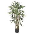 3' Multi Bambusa Bamboo Silk Tree