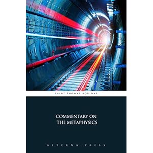 Commentary on the Metaphysics (Illustrated)