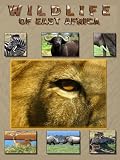 Wildlife of East Africa