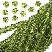 Czech Glass Daisy Flower Rondelle 5mm Green Dark Olivine (100 Beads)