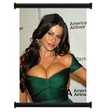 Sofia Vergara Sexy HOT Fabric Wall Scroll Poster (16