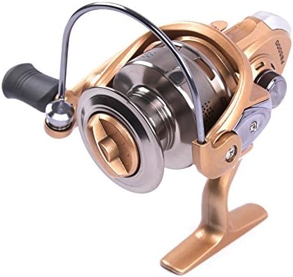 Benice Professional 10 BB Ball Bearings Left/Right Interchangeable Collapsible Handle Fishing Spinning Reel 5.2:1 (YL200, 5000)