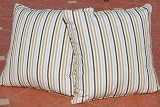 Set of 2 Premium Indoor or Outdoor Throw Pillows -Symphony