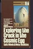 Exploring the Crack in the Cosmic Egg