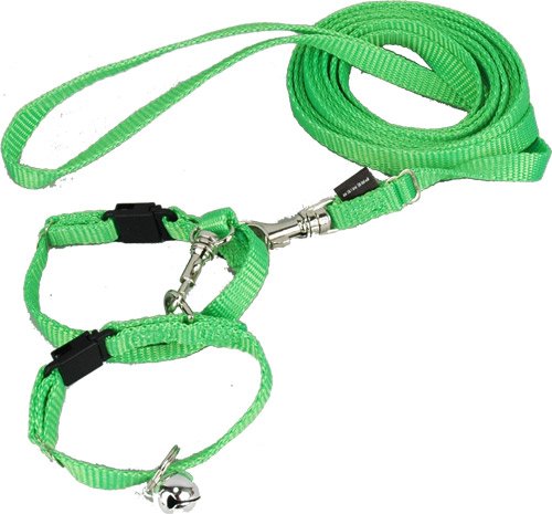 Ferret Fun 5-in-one Harness and Leash – Lime