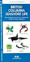 British Columbia Seashore Life: An Introduction to Familiar Plants and Animals