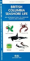 British Columbia Seashore Life: An Introduction to Familiar Plants and Animals