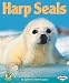 Harp Seals (Early Bird Nature)