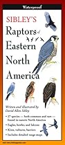 Sibley's Raptors of Eastern North America (Foldingguides) Sibley's Raptors of Eastern North America (Foldingguides)