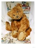 A Cinnamon Steiff Teddy Bear, circa 1905 Stretched Canvas Poster Print