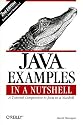 Java Examples in a Nutshell: A Tutorial Companion to "Java in a Nutshell"