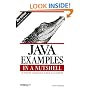 Java Examples in a Nutshell: A Tutorial Companion to Java in a Nutshell (In a Nutshell (O'Reilly))