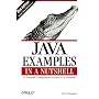 Java Examples in a Nutshell: A Tutorial Companion to "Java in a Nutshell"