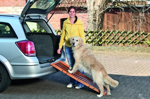 Karlie 87000 Hunderampe Klappbar - 120 x 40 x 4 cm Preisvergleich