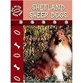Shetland Sheepdogs (EYE TO EYE WITH DOGS) (Reinforced Hardcover)