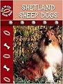 Shetland Sheepdogs (EYE TO EYE WITH DOGS) (Reinforced Hardcover)