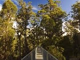 Airwalk, Tahune Forest Reserve, Tasmania, Australia, Pacific Photographic Poster Print by Jochen Schlenker, 16x12