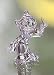 Swarovski Crystal Disney Collection, Dopey