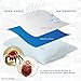 Anti Allergy Dirt Pillow Cases | Irritant Protector | Premium Breathable Smooth Surface Cover | 100% Waterproof | Zippered Encasement | Set of 2 | Toddler Travel Size