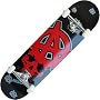 Alliance Team Board Logo Skull Level 3 Complete Skateboard