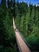 Capilano Suspension Bridge Crossing the Capilano River, Vancouver, British Columbia, Canada Photographic Poster Print by Thomas Winz, 36x48