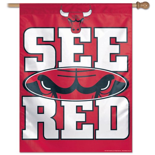 NBA Chicago Bulls 27-by-37 Inch Vertical Flag