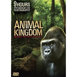 Animal Kingdom: Instincts and Habits in the Wild