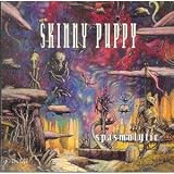 Spasmolytic / Shore Line Poison / Walking on Ice
