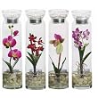 Candle Assortment 4