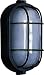 Artcraft Lighting AC5660BK  Large Wall Sconce Light, Black