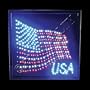 American Flag USA Flashing LED Sign and Light