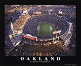 (8x10) Mike Smith Oakland Raiders Oakland Coliseum Sports Poster Print