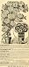 1891 Ad John Lewis Childs New York Plants Flowers Bulbs Seeds Gardening Fruits - Original Print Ad