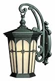 Warwick Patina Black Outdoor Wall Light Hinkley (1214PT)