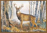 CPR Whitetail Deer Rug