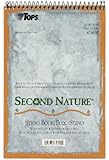 TOPS Second Nature Spiral Steno Books, Recycled, 6 x 9 Inches, Gregg Rule, Tan Cover, 70 Sheets Per Book (74690)