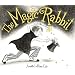 The Magic Rabbit