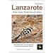 Lanzarote - Blinde Krebse, Wiedehopfe und Vulkane: Natur-Reisef�hrer f�r eine einzigartige Vulkaninsel im Kanarischen Archipel