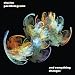 Elusive-Everything Changes
