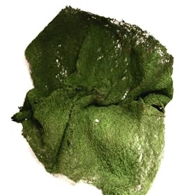 Artificial Sheet Moss - Finally Here! Just Cut and Use! by 