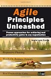 Agile Principles Unleashed: Proven Approaches for Achieving Real Productivity Gains in any Organisation