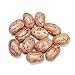PINTO BEANS, 1.75 lb Jar