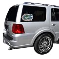 In Concept Florida Gators Window Logo Sticker - 13 x 13"