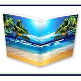 Extreme Book Sox - Jumbo Beach